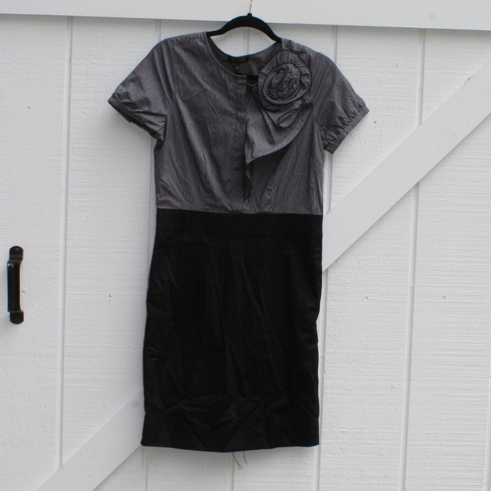 The Limited Pinstripe Aline Dress